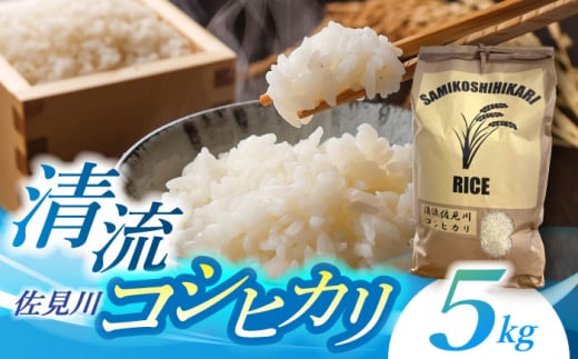 米【2025年12月18日までのご入金で、年内発送】【R7年度産】 新米 コシヒカリ 5kg 1袋 清流 佐見川 岐阜県産 こだわり ギフト 年内発送 年内 発送 ねんない はっそう 白飯 お米 おこめ 米 コメ こしひかり 白川町 / S.K.C [AWAX001]