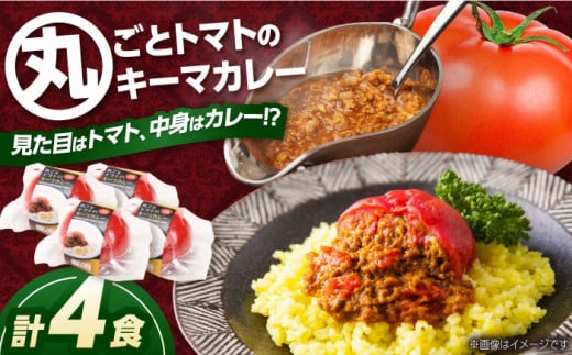 赤いとまて箱（丸ごとトマトのキーマカレー 4食）　【buyer\'s room2023 経済産業大臣賞受賞！】 カレー トマト 冷凍 白川町 / 一力屋 [AWAE001]