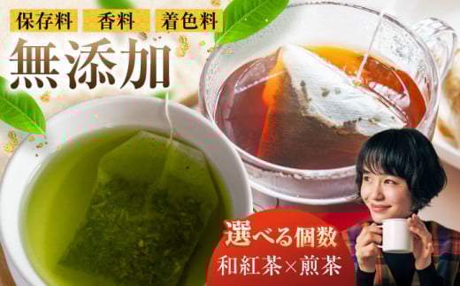 【選べるティーバッグ】　「煎茶」「和紅茶」 計5袋セット お茶 紅茶 国産 白川町 / 菊之園 [AWAG007]