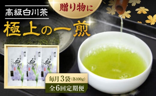 【6回定期便】本格 高級茶セット 100g×3袋 化粧箱入り お茶 煎茶 白川茶 茶葉 ギフト 白川町 / 菊之園 [AWAG010]