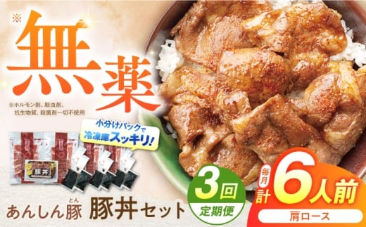 【3回定期便】豚丼セット 豚肉 肩ロース 国産 白川町 / 藤井ファーム [AWAF013]