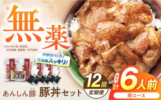 【12回定期便】豚丼セット 豚肉 肩ロース 国産 白川町 / 藤井ファーム [AWAF015]