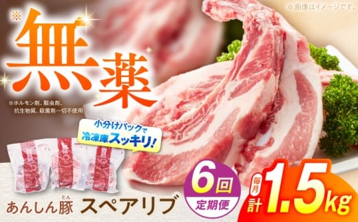 【6回定期便】あんしん豚 スペアリブ 1.5kg 豚肉 小分け 国産 白川町 / 藤井ファーム [AWAF017]