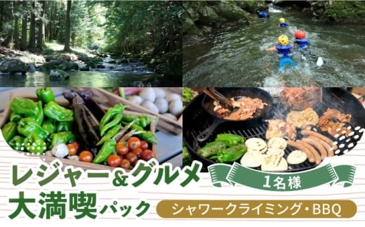 シャワークライミング ＆ オーガニックバーベキュー 1名様 チケット アクティビティ 体験 沢登り BBQ バーベキュー 岐阜 白川町 / Sunpo [AWBC022]