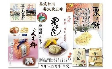 贅沢秋三昧セット 和菓子 栗きんとん 栗こ餅 白川町 / 白川菓匠 大黒屋 [AWAA002]
