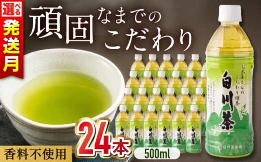 【1月発送】白川茶 ペットボトル 500ml×24本入 緑茶 お茶 ペットボトル 500ml ケース 岐阜 白川町 / 白川園本舗 [AWAT001-1]