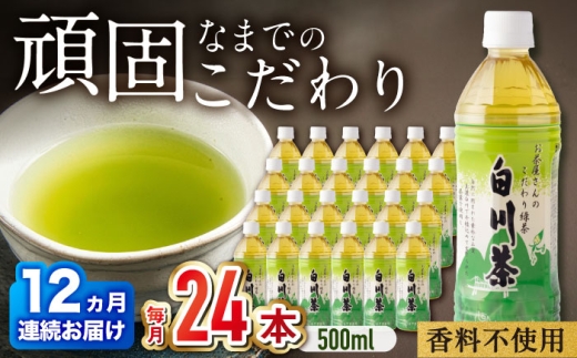 【12回定期便】 白川茶ペットボトル 500ml×24本入 緑茶 お茶 ペットボトル 500ml ケース 白川町 / 白川園本舗 [AWAT008]
