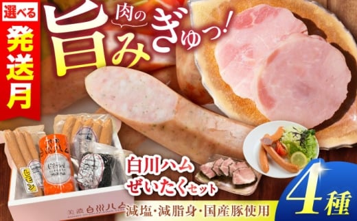 【12月発送】白川ハム 美濃白川ハム 4種セット（プレスハム・パストラミハム・ウインナー・レモンウインナー）ハム はむ ウインナー ういんなー ウィンナー うぃんなー ウインナー3本 詰め合わせ ハム詰め合わせ 白川町 / 白川町農業開発 [AWAH004-12]