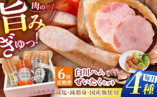【6回定期便】 美濃白川ハム 4種セット （ プレスハム ・ パストラミハム ・ ウインナー ・ レモンウインナー ） ハム プレスハム パストラミ ウインナー 詰め合わせ 白川町 / 白川町農業開発 [AWAH022]