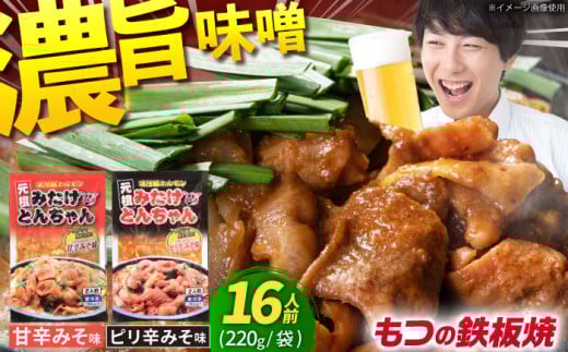 岐阜県産豚もつの鉄板焼き「元祖みたけとんちゃん」甘辛＆ピリ辛 各4袋（16人前）｜豚 ホルモン 白もつ 味付け｜焼肉 BBQ おつまみ おかず 冷凍｜岐阜県御嵩町 藤よし [AVAA002]