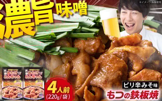 岐阜県産豚もつの鉄板焼「みたけとんちゃん」ピリ辛みそ味×2袋（4人前） / モツ もつ 白もつ 白モツ ホルモン ほるもん 味噌 豚肉 豚ホルモン 鉄板焼き / 御嵩町 / 藤よし [AVAA005]