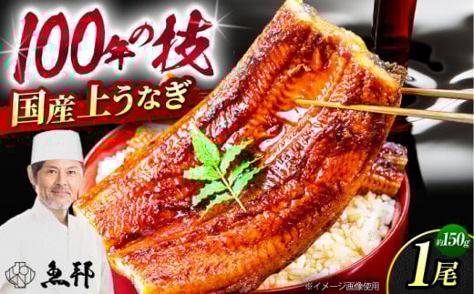 三河一色産 上 うなぎ ！ 国産 うなぎ蒲焼 1尾 約150g / 真空 パック 長蒲焼 うな重 高級 冷蔵 / 御嵩町 / 鰻 季節料理 魚邦[AVBH004]