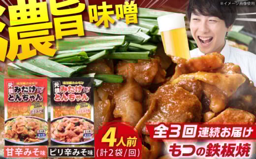 【3回定期便】岐阜県産豚もつの鉄板焼き「元祖みたけとんちゃん」甘辛＆ピリ辛 各1袋（4人前） / モツ もつ 白もつ ホルモン / 御嵩町 / 藤よし [AVAA012]