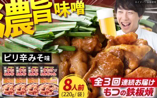 【3回定期便】岐阜県産豚もつの鉄板焼き「元祖みたけとんちゃん」ピリ辛みそ味（8人前） / モツ もつ 白もつ ホルモン / 御嵩町 / 藤よし [AVAA027]