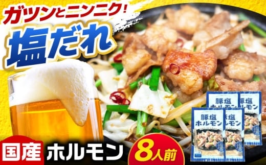 ＜年内発送＞岐阜県産豚もつの鉄板焼き「元祖みたけとんちゃん」豚塩味（8人前） / モツ もつ 白もつ ホルモン / 御嵩町 / 藤よし [AVAA039]