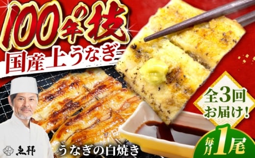 【3回定期便】国産 上うなぎ 白焼き 1尾 約150g / 鰻 ウナギ うなぎ 白焼き / 御嵩町 / 鰻 季節料理 魚邦 [AVBH024]