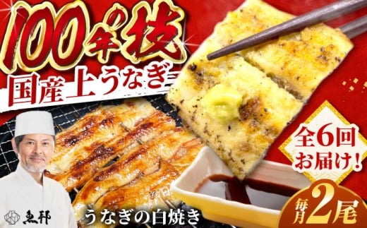 【6回定期便】国産 上うなぎ 白焼き 2尾 約150g×2パック / 鰻 ウナギ うなぎ 白焼き / 御嵩町 / 鰻 季節料理 魚邦 [AVBH028]