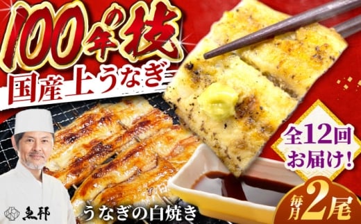 【12回定期便】国産 上うなぎ 白焼き 2尾 約150g×2パック / 鰻 ウナギ うなぎ 白焼き / 御嵩町 / 鰻 季節料理 魚邦 [AVBH029]