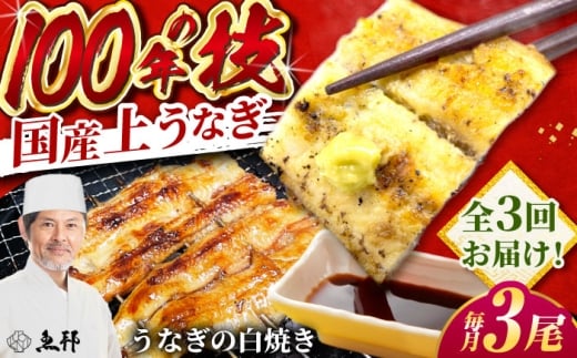 【3回定期便】国産 上うなぎ 白焼き 3尾 約150g×3パック / 鰻 ウナギ うなぎ 白焼き / 御嵩町 / 鰻 季節料理 魚邦 [AVBH030]