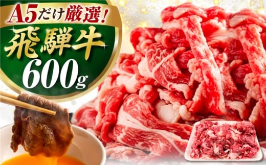【3月発送】飛騨牛 切り落とし 600g / 飛騨牛 肉 お肉 切落し 不揃い A5ランク 牛肉 岐阜県 / 御嵩町 / 肉のキング [AVAG019-3]