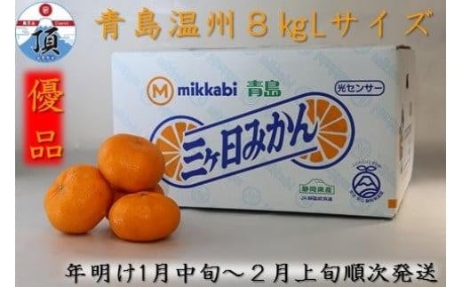 三ヶ日みかん（青島温州）8kg【2026年1月以降順次発送】
