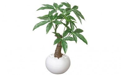 光の楽園　パキラポット【配送不可：北海道・沖縄・離島】 植物 造花 [№5786-1222]