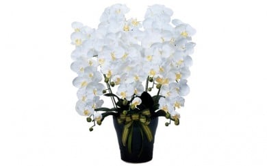 光の楽園　ロイヤル胡蝶蘭5本立W【配送不可：北海道・沖縄・離島】 植物 造花 [№5786-1250]
