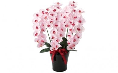 光の楽園　プレミアム胡蝶蘭5本立P【配送不可：北海道・沖縄・離島】 植物 造花 [№5786-1239]