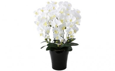光の楽園　クィーン胡蝶蘭5本立W【配送不可：北海道・沖縄・離島】 植物 造花 [№5786-1235]