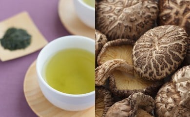天竜茶（80g×2本）と天竜産乾しいたけ（140g）詰合せ [№5786-1486]