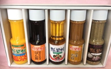 野菜村　ぽん酢・ごまだれ＆ドレッシング　調味料5本ギフト [№5786-1731]