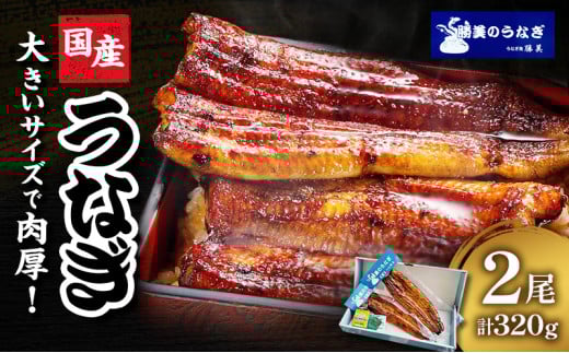 うなぎ 浜松 国産 鰻 蒲焼 2尾 (160g×2尾 タレ75ml×1 山椒付) セット 勝美 土用の丑の日 丑の日 小分け 真空パック 国産うなぎ 浜松うなぎ 浜名湖うなぎ 蒲焼き ギフト プレゼント 贈答 浜名湖 産地直送 冷凍 冷凍配送 静岡 静岡県 浜松市 [№5786-4780]