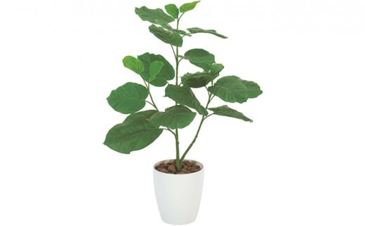 光の楽園　ウンベラータ80【配送不可：北海道・沖縄・離島】 雑貨 日用品 植物 造花 [№5786-2608]