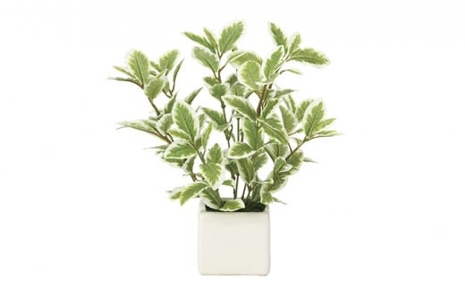 光の楽園　ミニリーフG/W【配送不可：北海道・沖縄・離島】 雑貨 日用品 植物 造花 [№5786-2624]