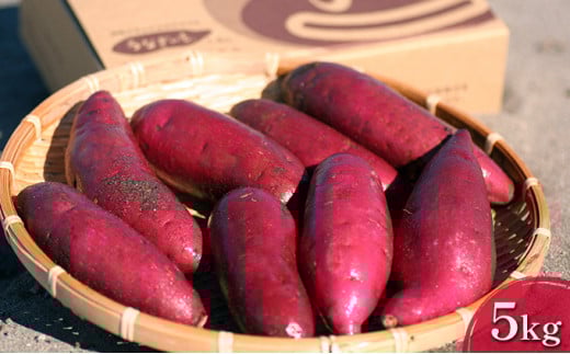 【2025年10月より順次発送】うなぎいも 5kg【配送不可：北海道】さつまいも 熟成 糖度が高い 贈答品 野菜 イモ  [№5786-1983]