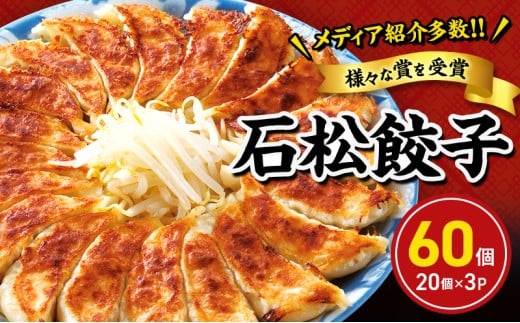 元祖 浜松餃子 石松の定番餃子詰合せ 60個入り【配送不可：離島】 [№5786-5030]