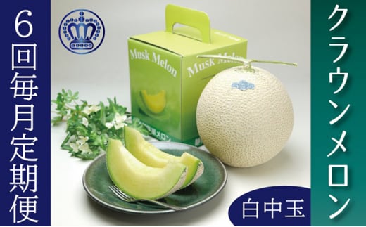 クラウンメロン白等級中玉　1玉【6ヶ月定期便】【配送不可：離島】 [№5786-3420]
