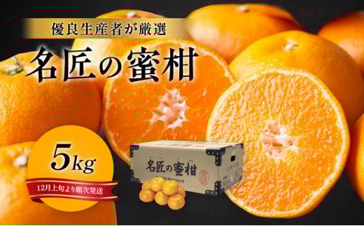 先行予約 特秀 名匠のみかん S～Mサイズ 5kg 果物 くだもの フルーツ 旬の果物 旬のフルーツ みかん 蜜柑 ミカン 柑橘 柑橘類 秀品 静岡 静岡県 浜松市 [№5786-2182]