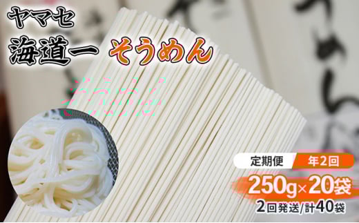 【定期便 年2回】ヤマセ 海道一 そうめん 250g × 20袋（2回発送・計40袋） [№5786-5137]