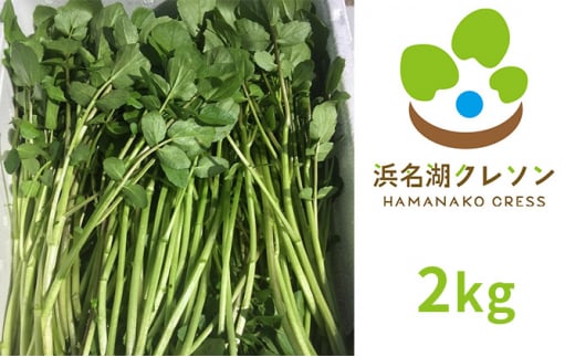 浜名湖クレソン 2kg【配送不可：北海道・沖縄・離島】 [№5786-4164]