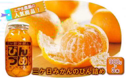 三ヶ日みかん　みかんの瓶詰詰め合わせ3本セット（900g×3本セット）[№5786-5797]