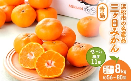 三ヶ日みかん 青島 8kg M又はL 1月中旬より順次発送 みかん ミカン 蜜柑 青島みかん 三ヶ日 果物 くだもの フルーツ 旬の果物 旬のフルーツ 柑橘 柑橘類 糖度 静岡 静岡県 浜松市 [№5786-5238]