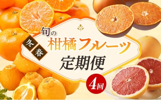 【2026年1月中旬より発送】浜松市の柑橘定期便 4回（1月～4月）三ヶ日みかん青島・せとか・不知火・グレープフルーツ[№5786-5959]
