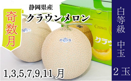 【奇数月 定期便】クラウンメロン並【白等級】1.3kg前後　2玉入り [№5786-5514]