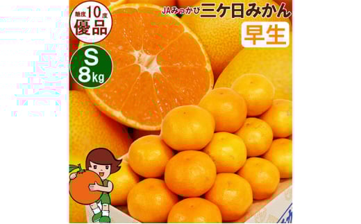 三ケ日みかん 早生【優品】Sサイズ8kg(96個前後)  ミカン 果物 くだもの フルーツ 甘い 静岡県 浜松市 [№5360-0095]