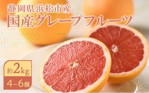 【2026年4月上旬より順次発送】 静岡県浜松市産グレープフルーツ約2kg（4〜6個） 果物 フルーツ 国産 静岡 浜松市[№5360-0283]