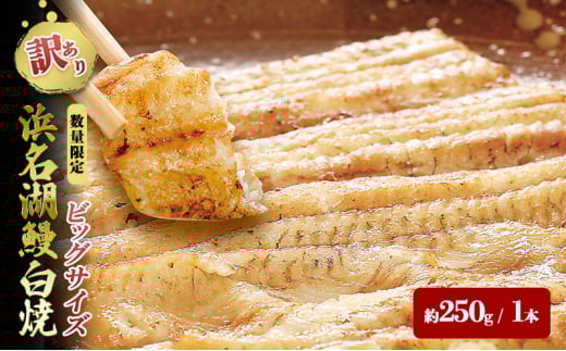 【訳アリ・数量限定】浜名湖鰻白焼1本（約250ｇ） ビッグサイズ うなぎ ウナギ 鰻 白焼 白焼き 魚貝類 訳あり 土用の丑の日 静岡県 浜松市 [№5360-0211]
