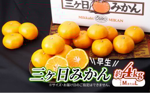 【2025年11月中旬より順次発送】 三ヶ日みかん 早生 4kg M～L 早生みかん みかん 蜜柑 ミカン 果物 くだもの 旬のフルーツ 旬の果物 季節のフルーツ 季節の果物 柑橘 柑橘類 静岡 静岡県 浜松市 [№5786-5772]