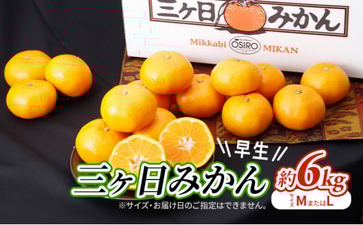 【2025年11月中旬より順次発送】 三ヶ日みかん 早生 6kg M～L 早生みかん みかん 蜜柑 ミカン 果物 くだもの 旬のフルーツ 旬の果物 季節のフルーツ 季節の果物 柑橘 柑橘類 静岡 静岡県 浜松市 [№5786-5773]
