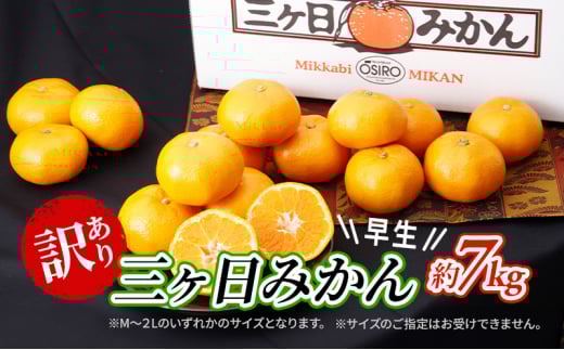 【2025年11月中旬より順次発送】 訳あり 三ヶ日みかん 早生 7kg 早生みかん みかん 蜜柑 ミカン 果物 くだもの 旬のフルーツ 旬の果物 季節のフルーツ 季節の果物 柑橘 柑橘類 訳アリ 静岡 静岡県 浜松市 [№5786-5776]